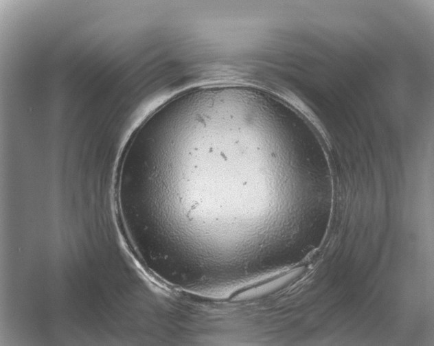 X0000058781485200510071556