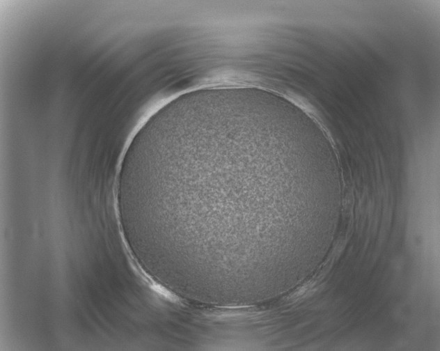 X0000058781486200510071556