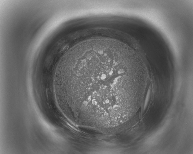 X0000058781487200510071556