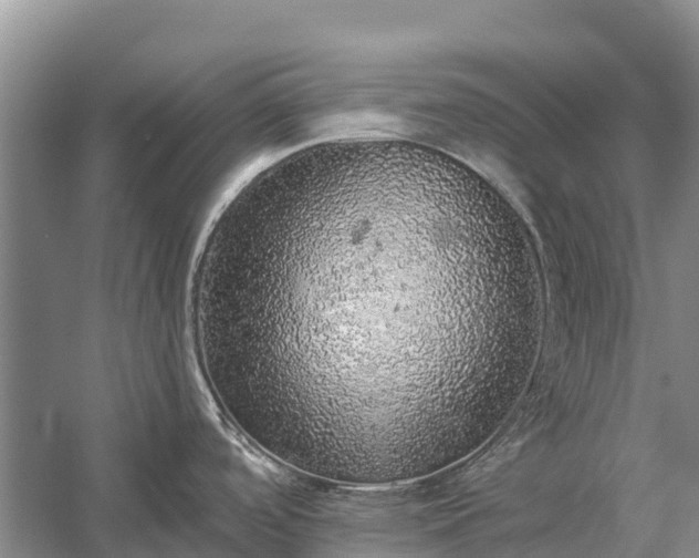 X0000058781488200510071556