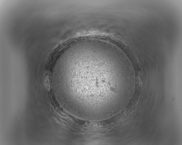 X0000058781493200510071555