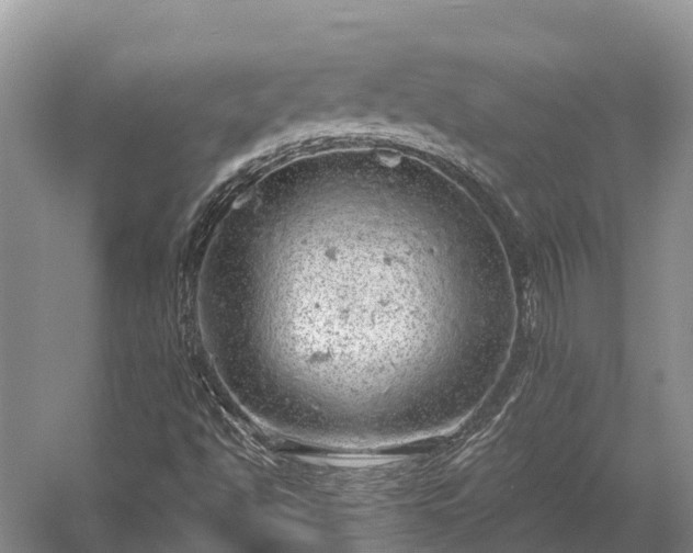 X0000058781494200510071555