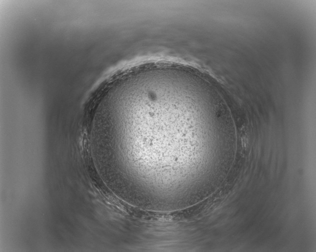 X0000058781495200510071555