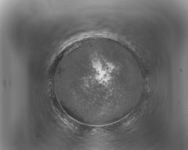 X0000058781496200510071555