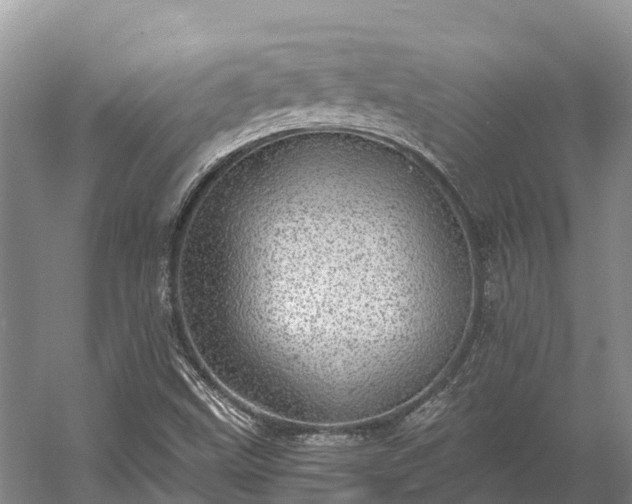 X0000058781499200510071555