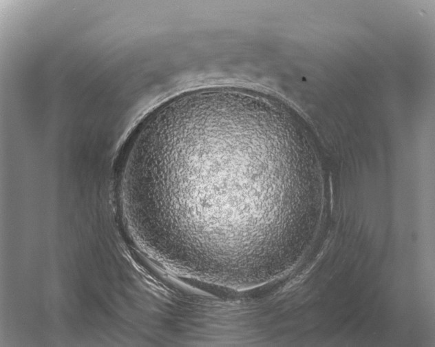 X0000058781501200510071555