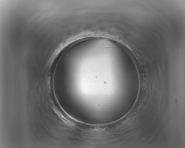 X0000058781503200510071555