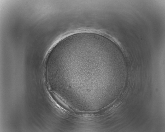 X0000058781504200510071555