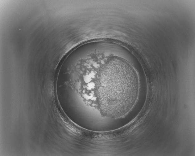 X0000058781505200510071555