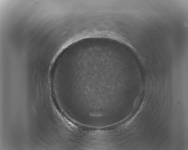 X0000058781506200510071555