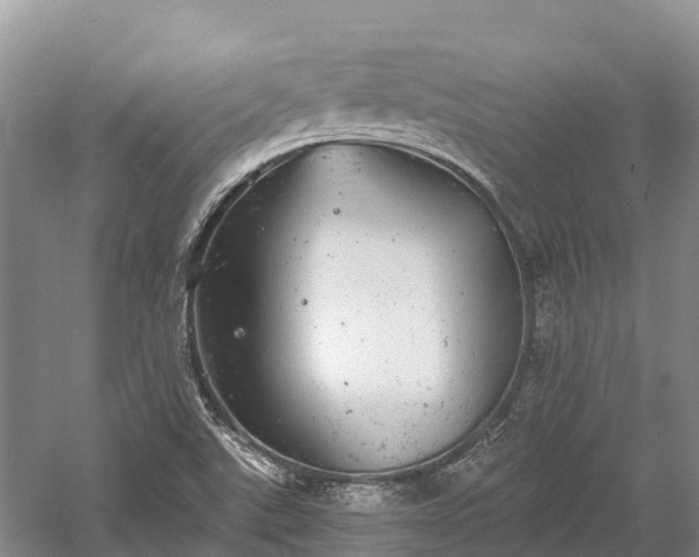 X0000058781507200510071555