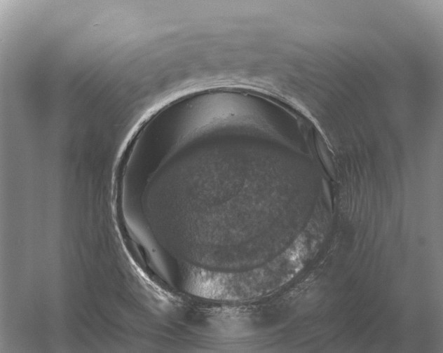 X0000058781508200510071555