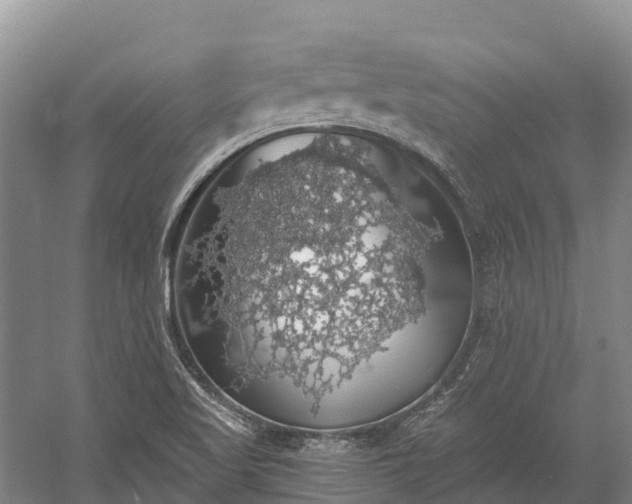 X0000058781509200510071555