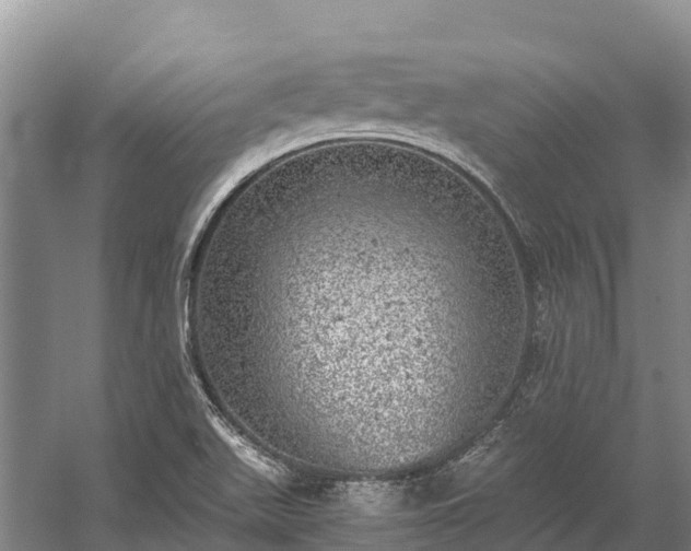 X0000058781511200510071555