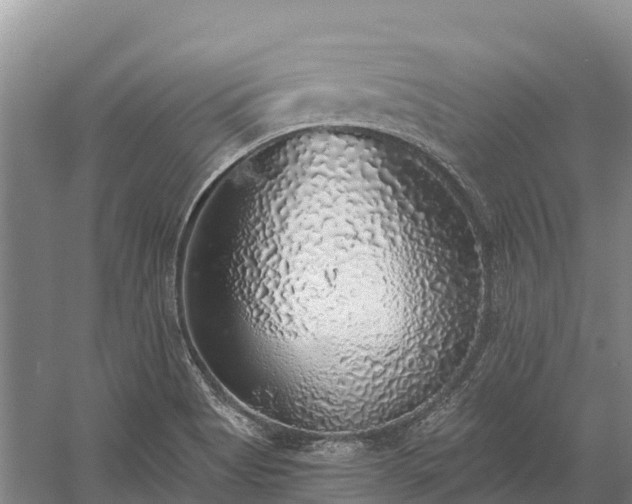 X0000058781513200510071555