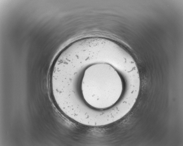 X0000058781514200510071555