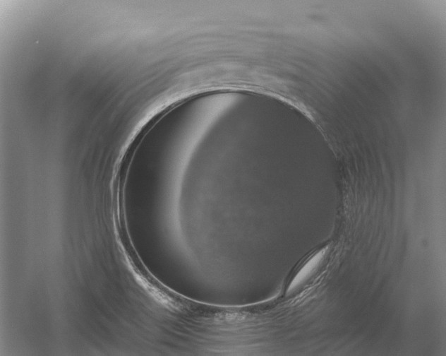 X0000058781515200510071555