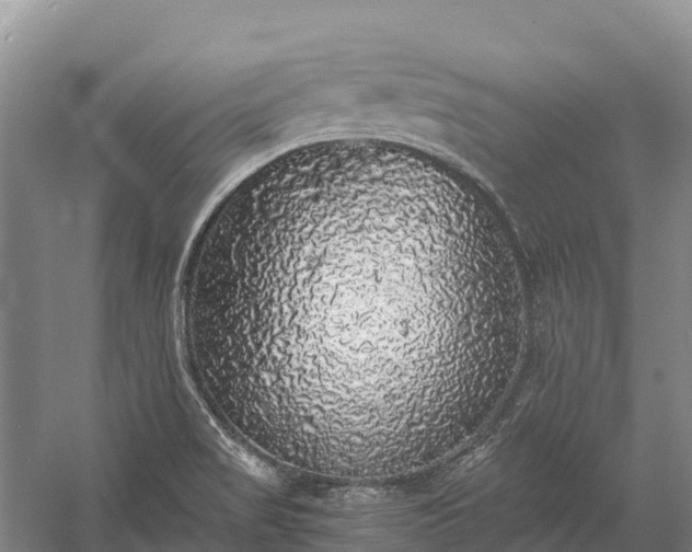 X0000058781517200510071555