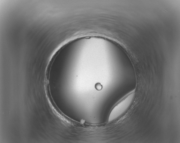 X0000058781518200510071555