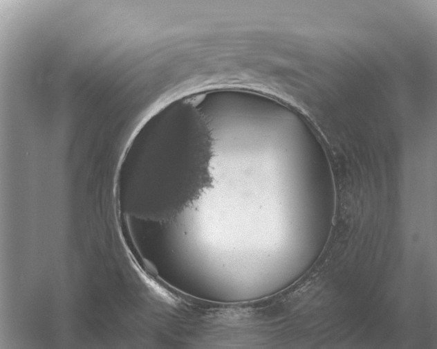 X0000058781519200510071555