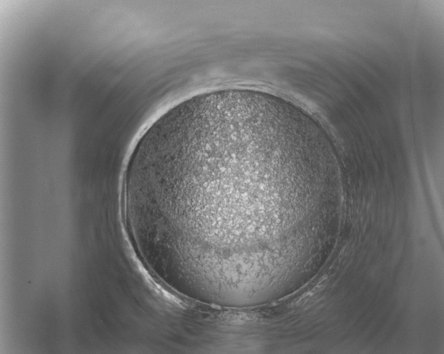 X0000058781520200510071555