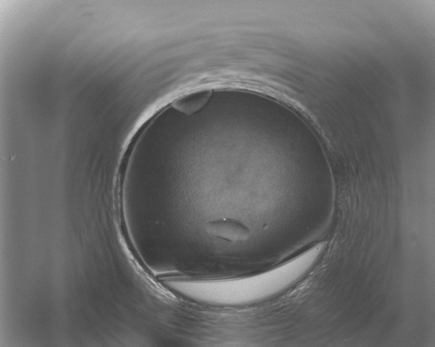 X0000058781522200510071555