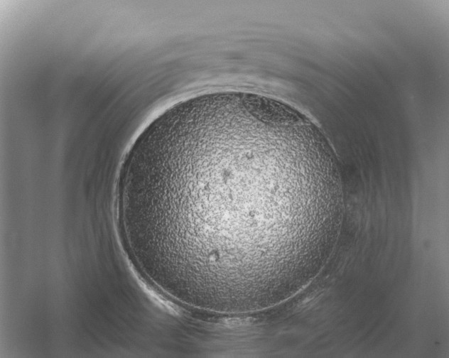 X0000058781523200510071555