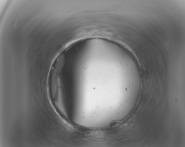 X0000058781525200510071555