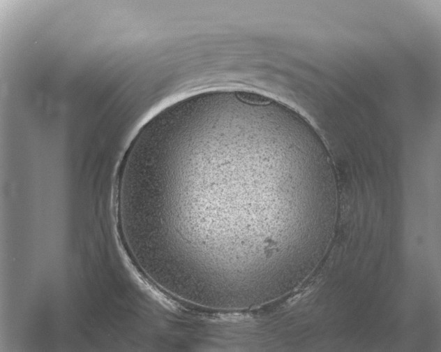 X0000058781526200510071555