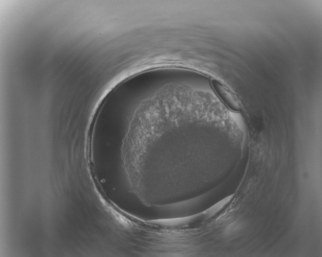 X0000058781527200510071555