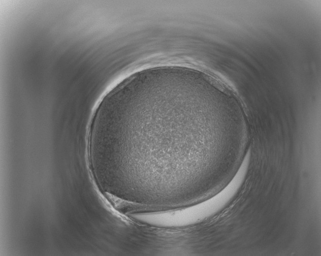 X0000058781528200510071555