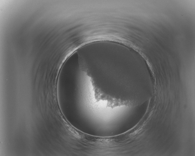 X0000058781529200510071555