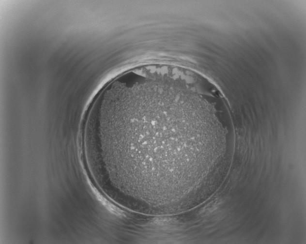 X0000058781531200510071555