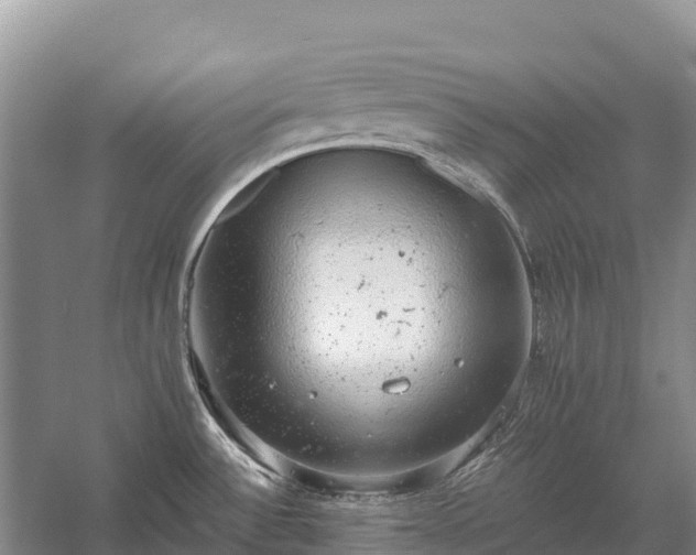 X0000058781532200510071555