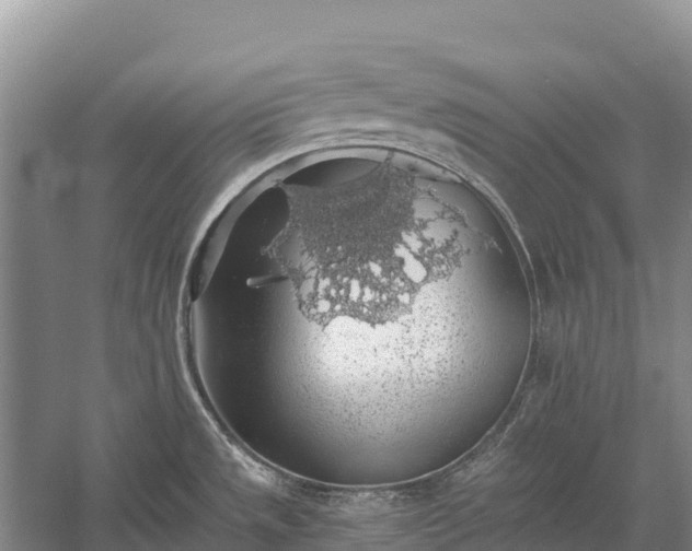 X0000058781533200510071555