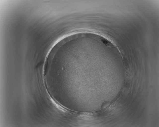 X0000058781535200510071556