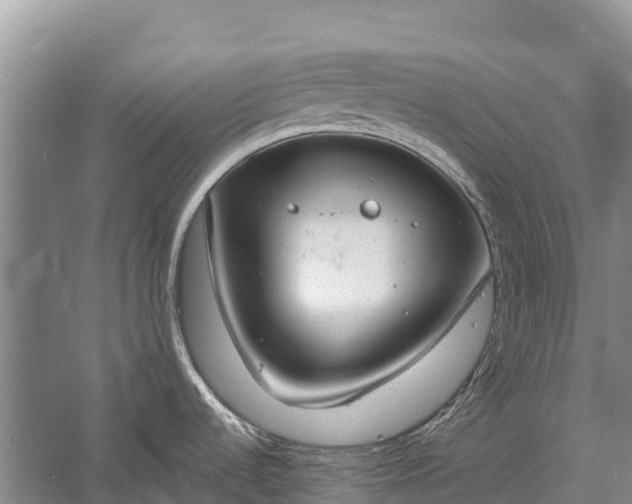 X0000058781536200510071556