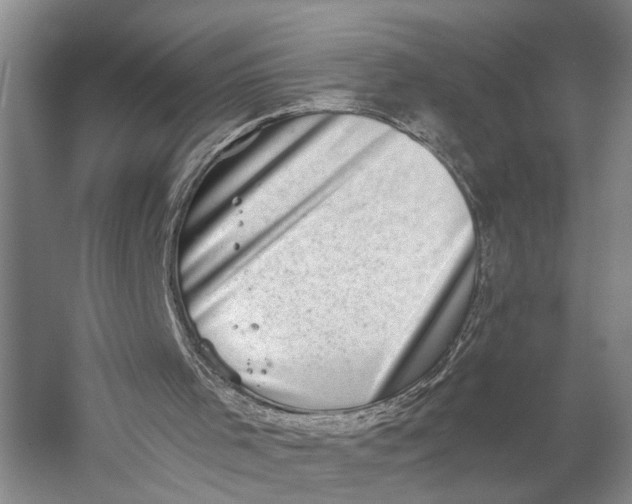 X0000058780001200510171305