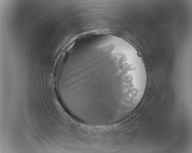 X0000058780002200510171305