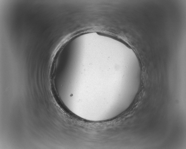 X0000058780007200510171305