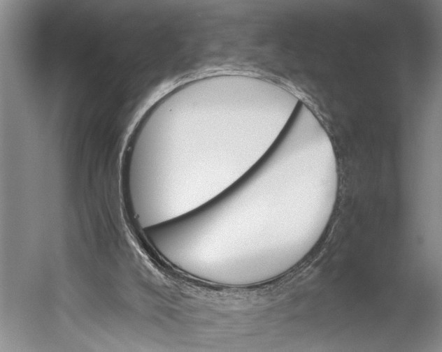 X0000058780008200510171305