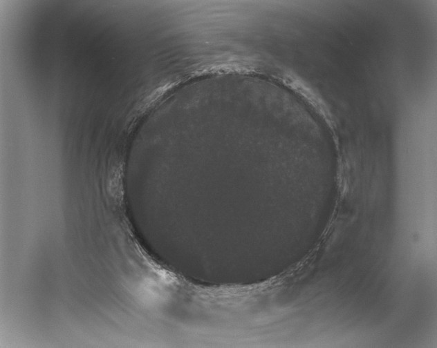 X0000058780009200510171305