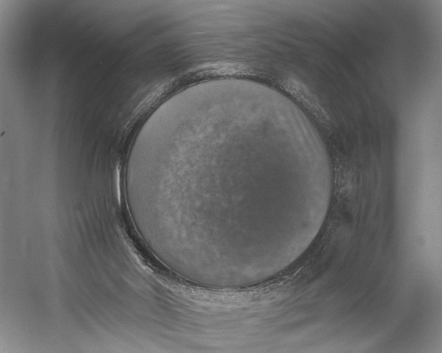 X0000058780014200510171305