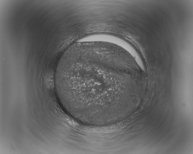 X0000058780017200510171305