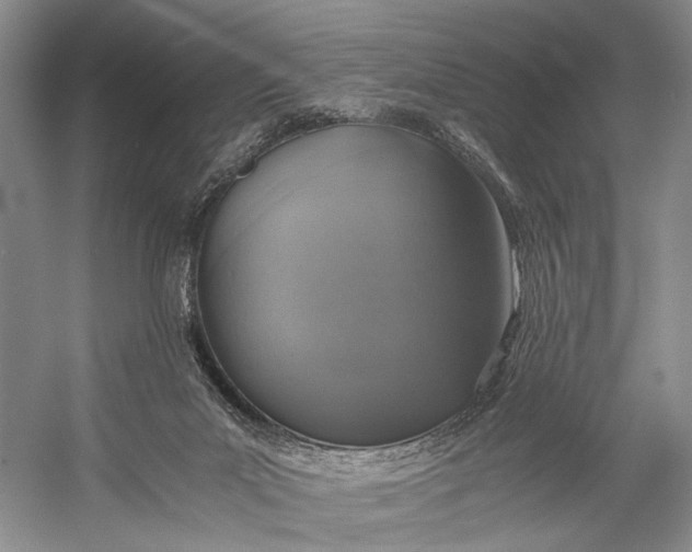 X0000058780023200510171305