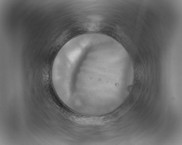 X0000058780032200510171305