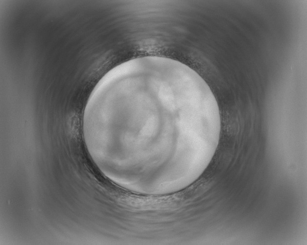 X0000058780036200510171305