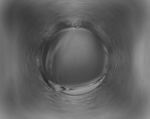 X0000058780039200510171305