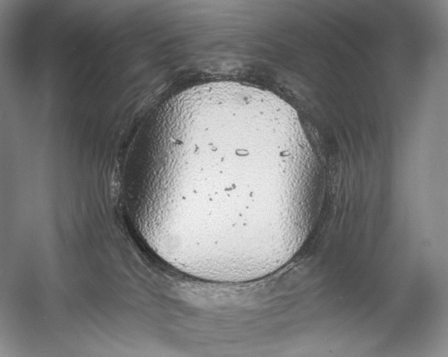 X0000058780040200510171305