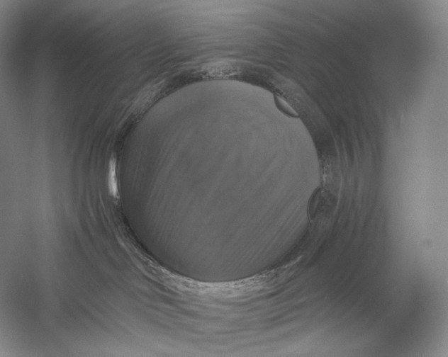 X0000058780046200510171305